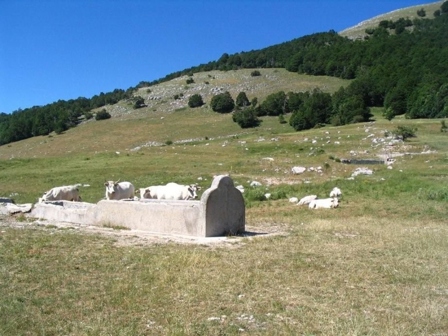 monte_turchio_05.jpg