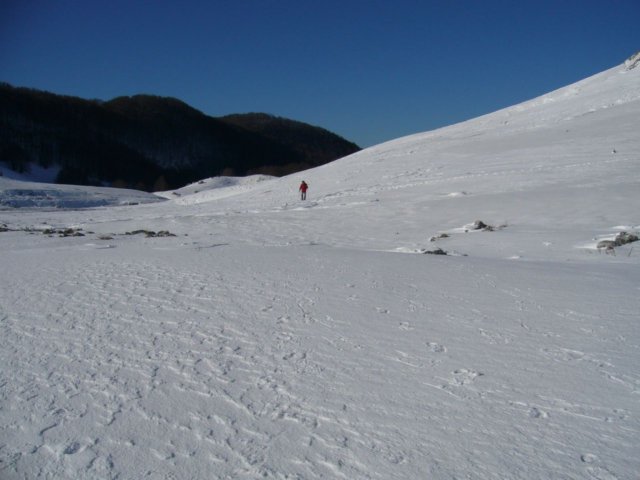 monte_forcellone_61.jpg