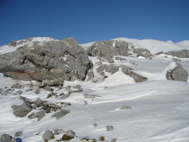 monte_forcellone_81.jpg