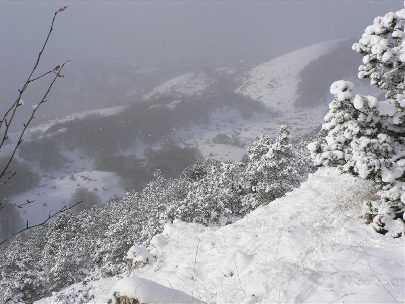 monte_la_serra_07.jpg