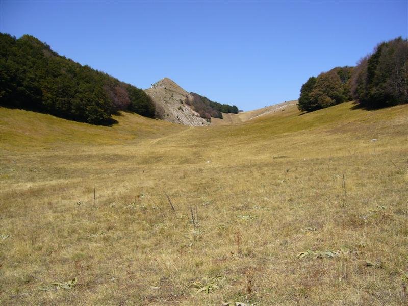 monte_mileto_11.jpg