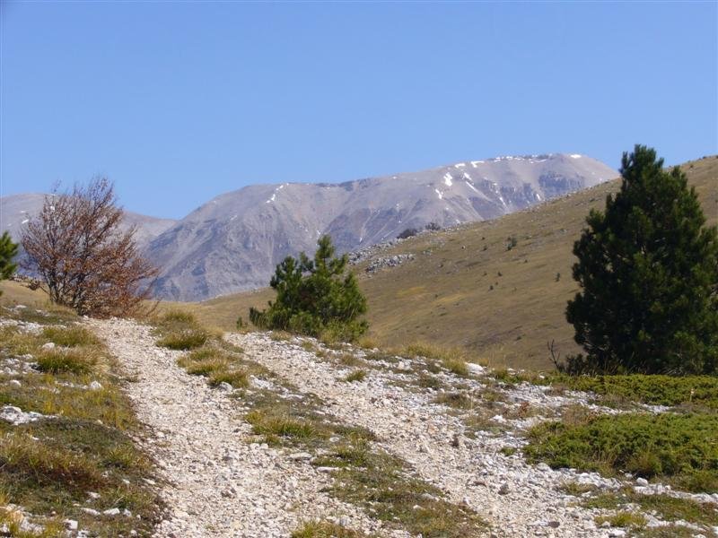 monte_mileto_18.jpg